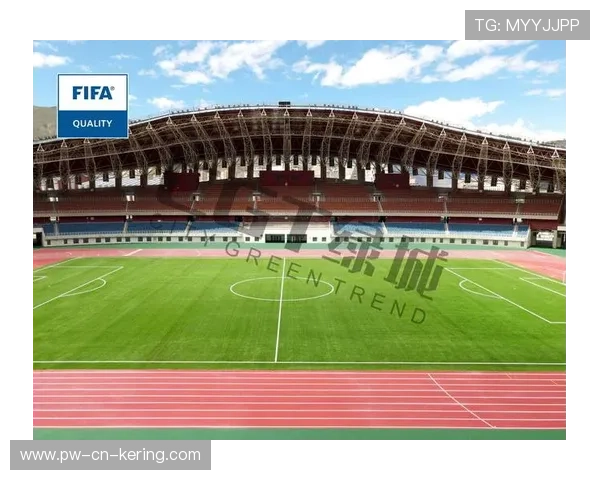 足球项目纳入更多省市重点发展规划，足球试点城市